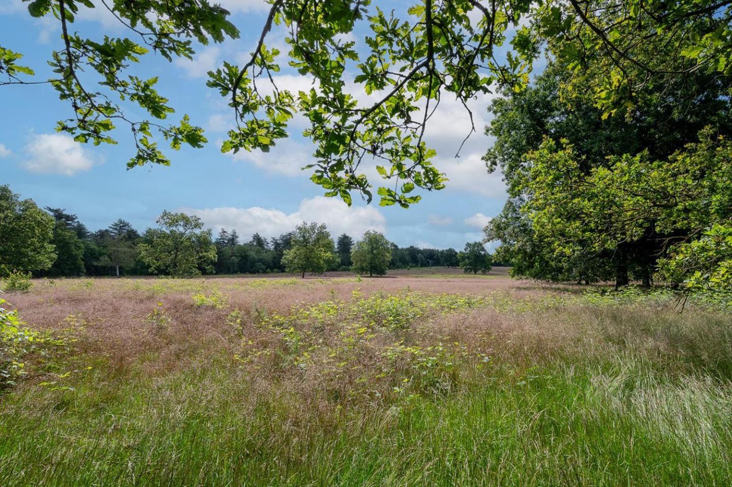 Landhuisje 31 'De Akkersteen' Bospark Ijsselheide Zwolle Hattemerbroek エクステリア 写真