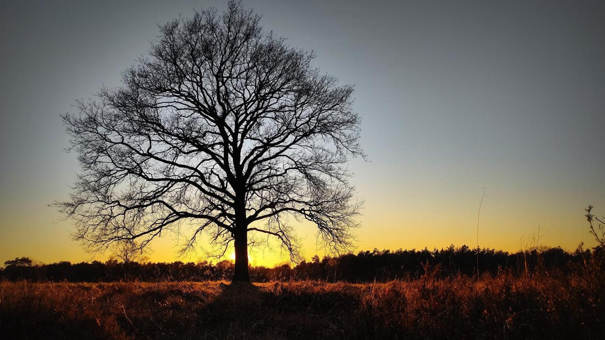 Landhuisje 31 'De Akkersteen' Bospark Ijsselheide Zwolle Hattemerbroek エクステリア 写真